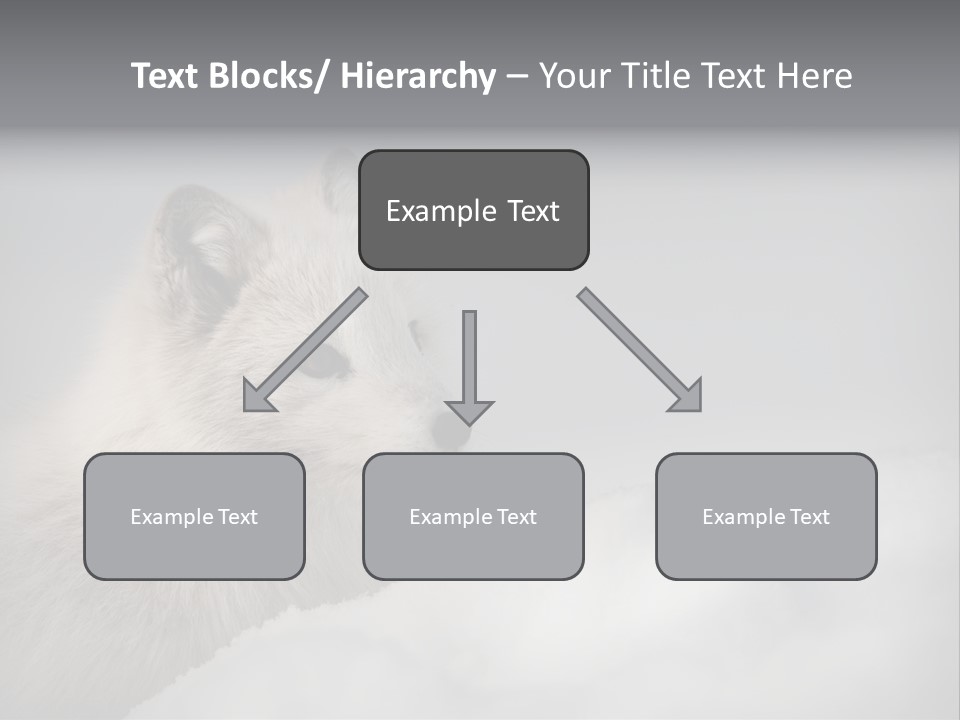 Artic Wildlife Horizontal Survival PowerPoint Template