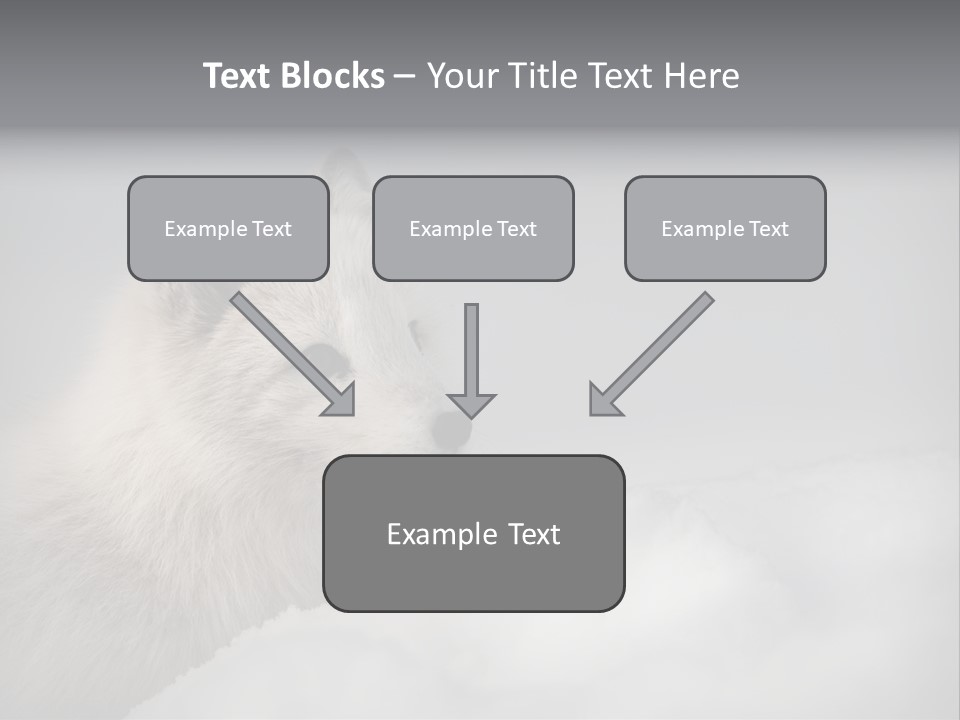 Artic Wildlife Horizontal Survival PowerPoint Template