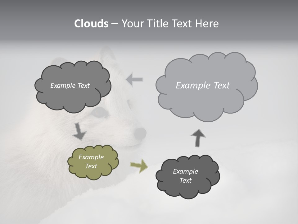Artic Wildlife Horizontal Survival PowerPoint Template