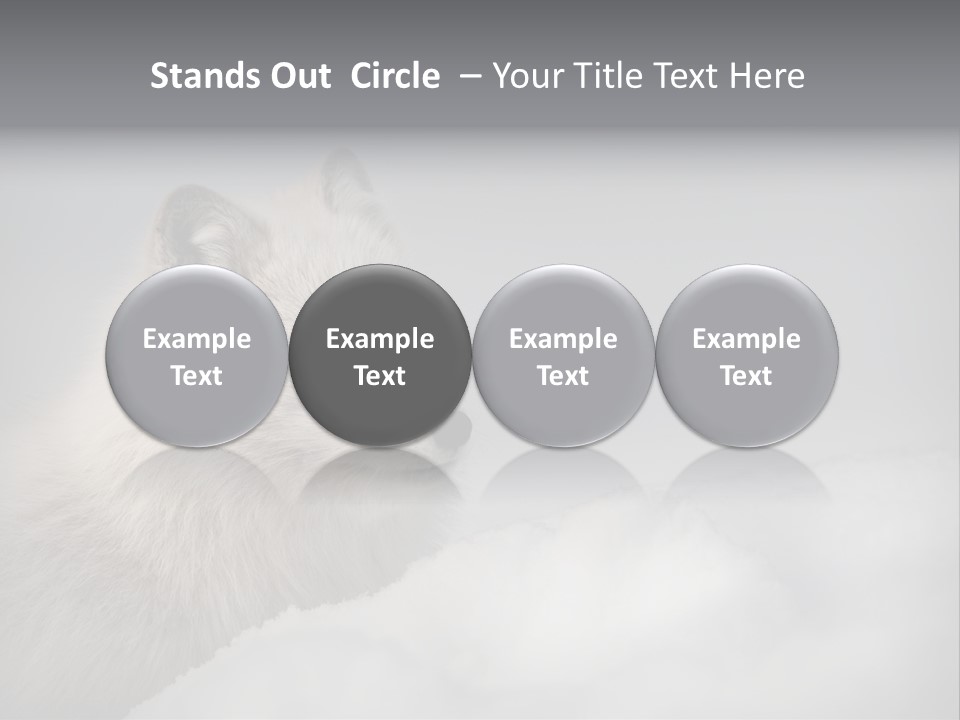 Artic Wildlife Horizontal Survival PowerPoint Template