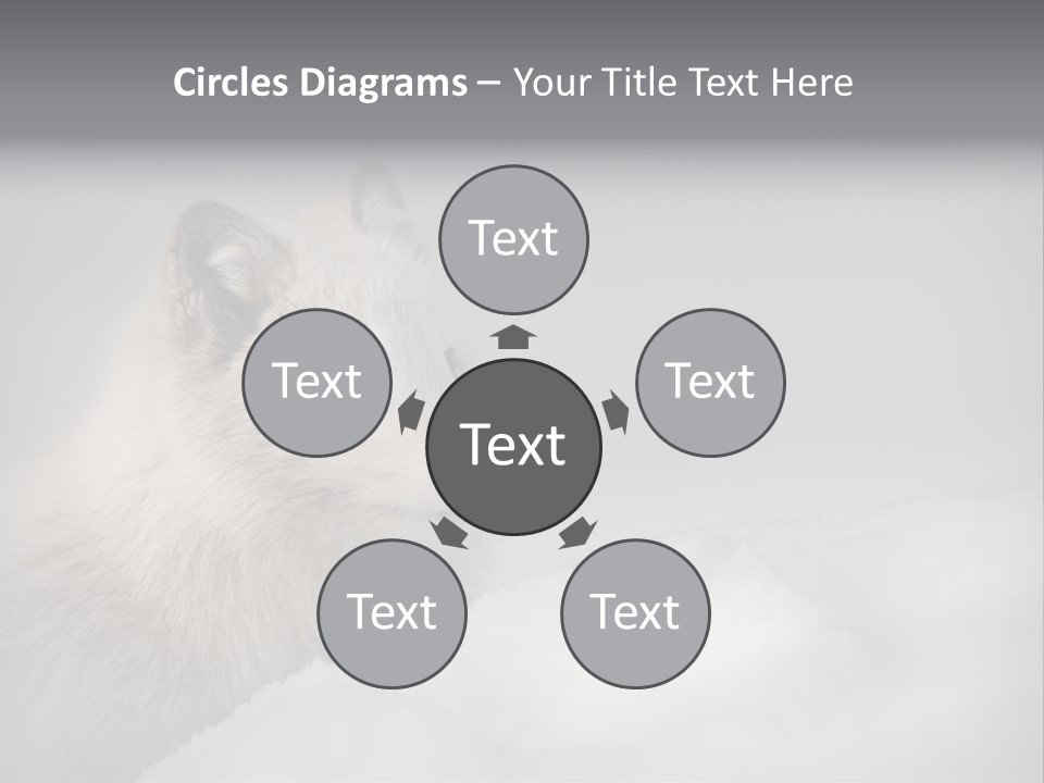 Artic Wildlife Horizontal Survival PowerPoint Template