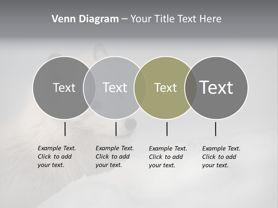 Artic Wildlife Horizontal Survival PowerPoint Template