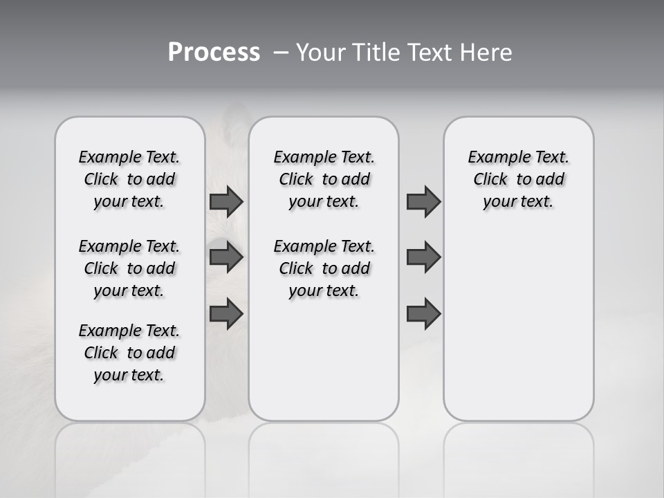 Artic Wildlife Horizontal Survival PowerPoint Template