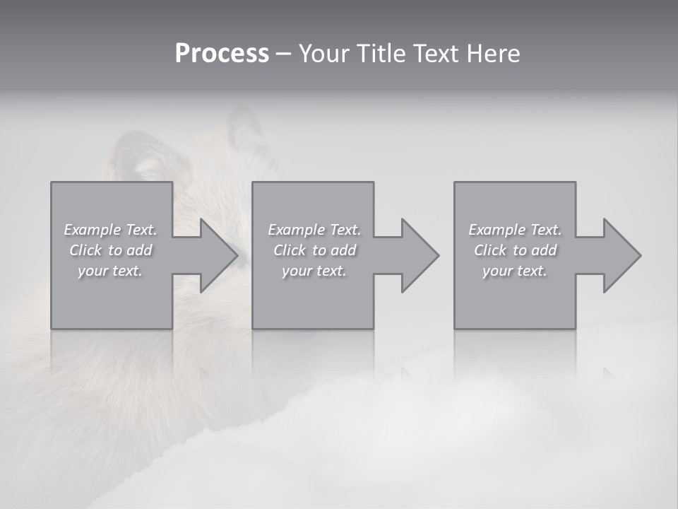Artic Wildlife Horizontal Survival PowerPoint Template