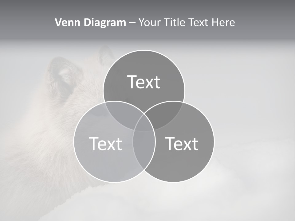 Artic Wildlife Horizontal Survival PowerPoint Template