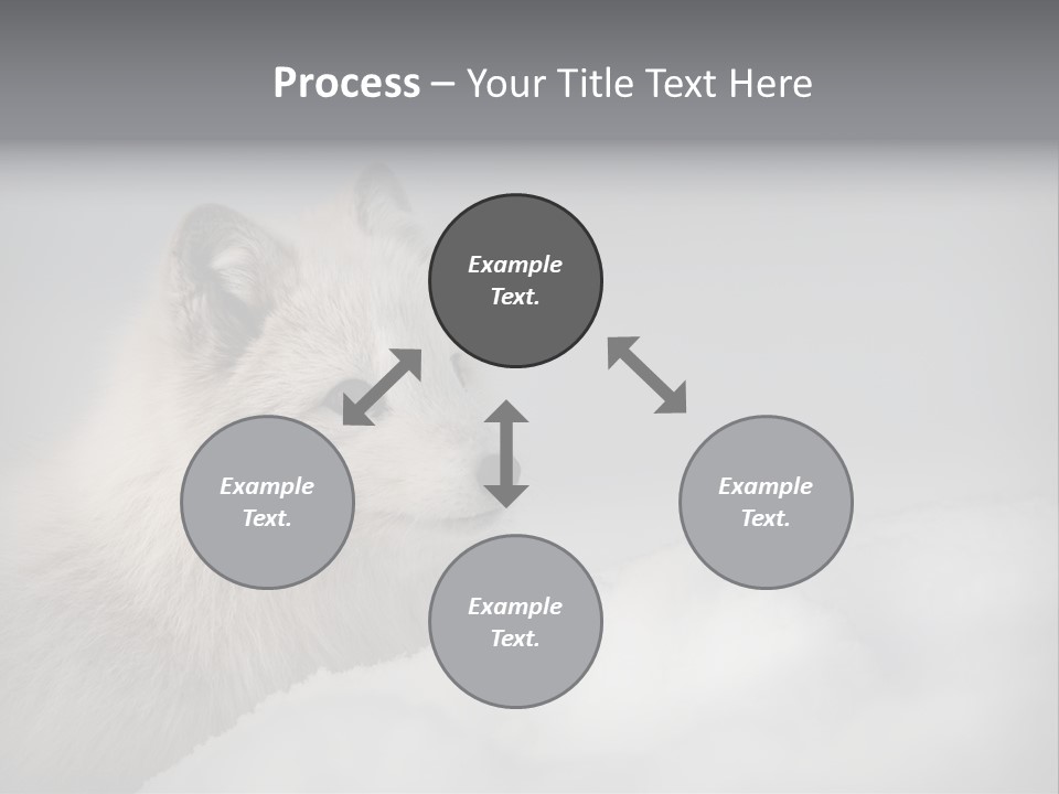 Artic Wildlife Horizontal Survival PowerPoint Template