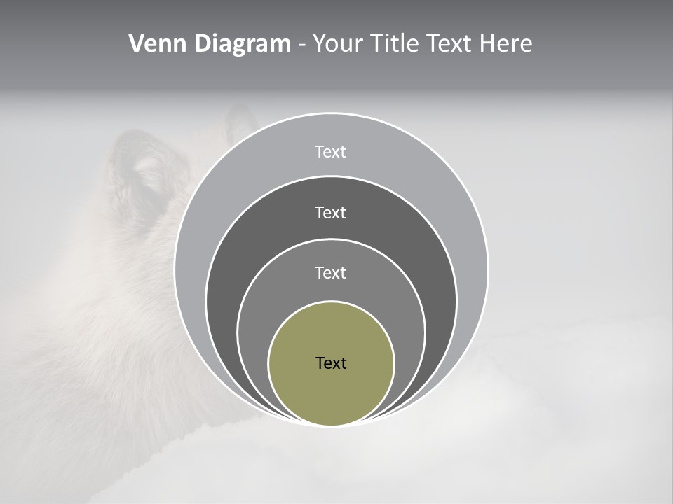 Artic Wildlife Horizontal Survival PowerPoint Template