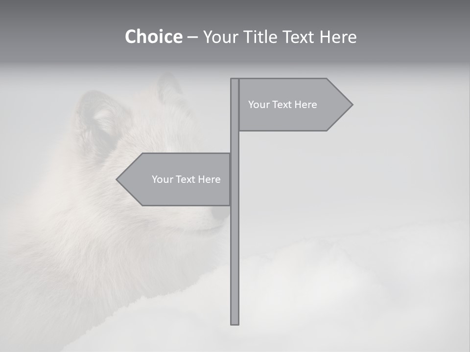 Artic Wildlife Horizontal Survival PowerPoint Template