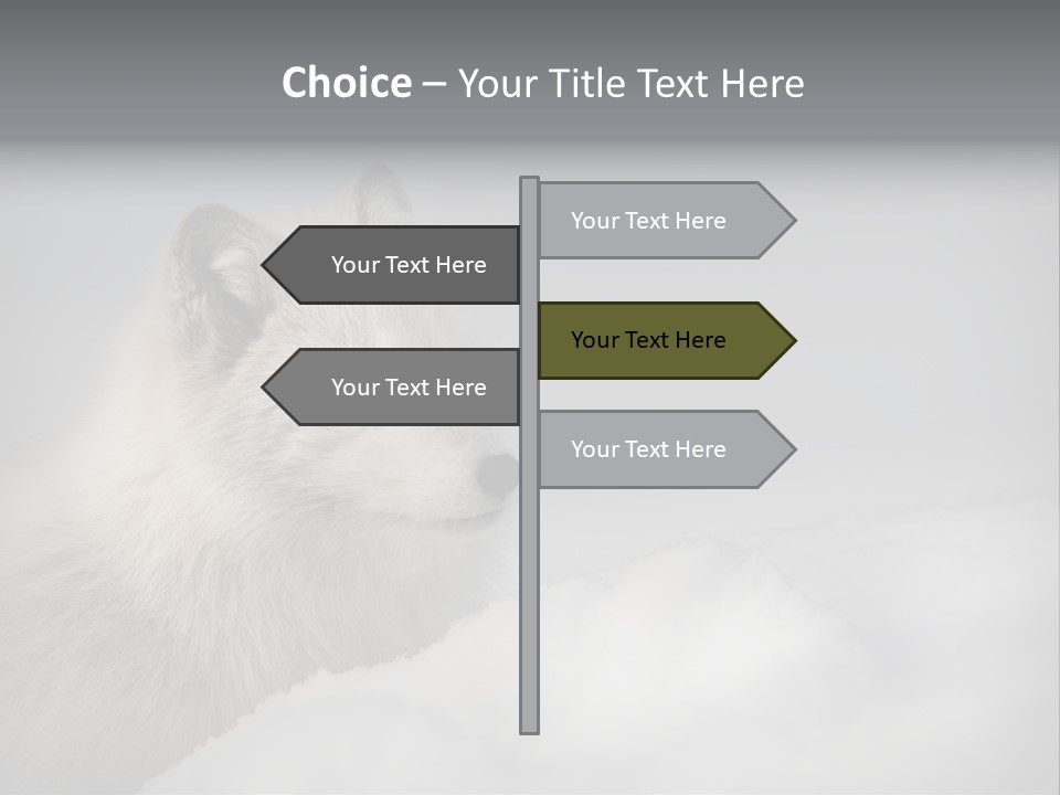 Artic Wildlife Horizontal Survival PowerPoint Template