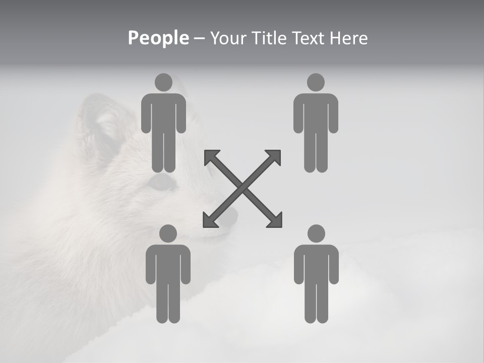 Artic Wildlife Horizontal Survival PowerPoint Template
