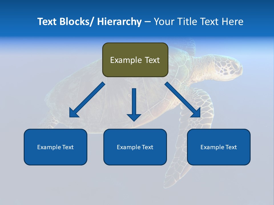 Illness Diet House PowerPoint Template