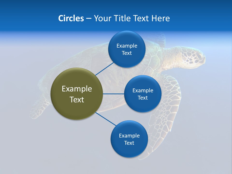 Illness Diet House PowerPoint Template