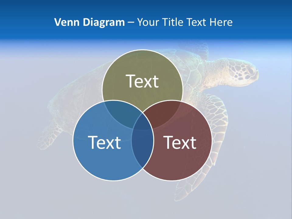 Illness Diet House PowerPoint Template