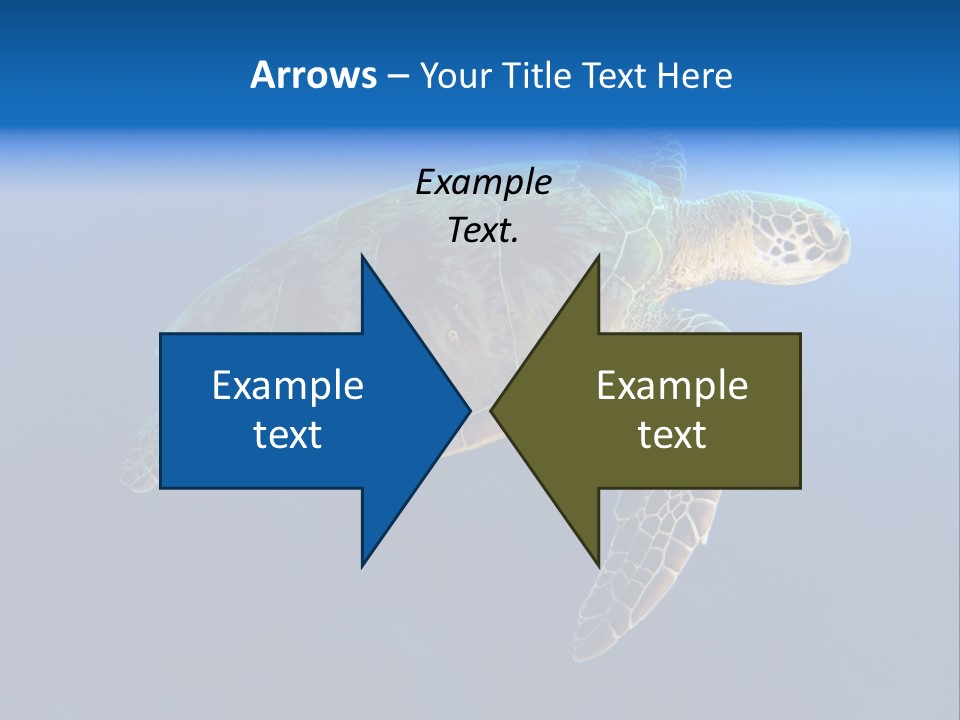 Illness Diet House PowerPoint Template