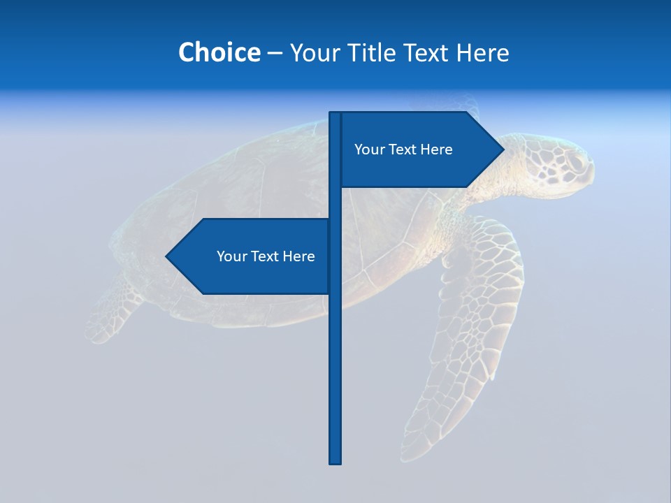 Illness Diet House PowerPoint Template