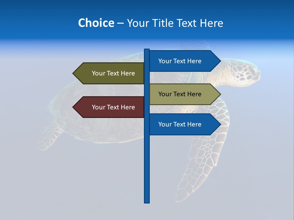 Illness Diet House PowerPoint Template