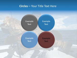 A Man On A Boat Holding A Large Fish PowerPoint Template