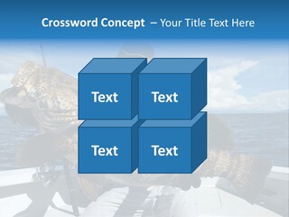 A Man On A Boat Holding A Large Fish PowerPoint Template