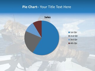 A Man On A Boat Holding A Large Fish PowerPoint Template