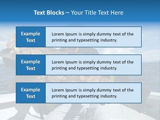 A Man On A Boat Holding A Large Fish PowerPoint Template