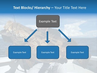 A Man On A Boat Holding A Large Fish PowerPoint Template