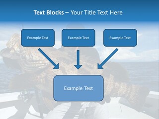 A Man On A Boat Holding A Large Fish PowerPoint Template
