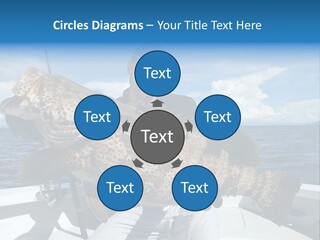 A Man On A Boat Holding A Large Fish PowerPoint Template