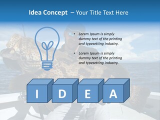 A Man On A Boat Holding A Large Fish PowerPoint Template