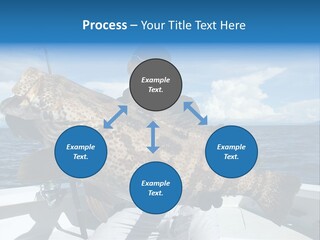 A Man On A Boat Holding A Large Fish PowerPoint Template