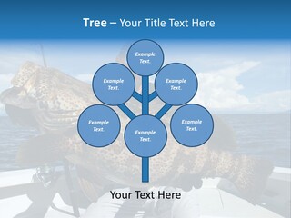 A Man On A Boat Holding A Large Fish PowerPoint Template