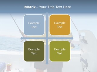 Colorful Fish Dolphin Fish Ocean Fishing PowerPoint Template