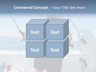 Colorful Fish Dolphin Fish Ocean Fishing PowerPoint Template