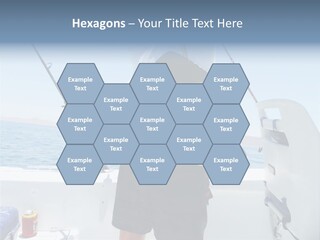 Colorful Fish Dolphin Fish Ocean Fishing PowerPoint Template