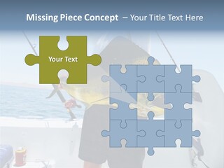 Colorful Fish Dolphin Fish Ocean Fishing PowerPoint Template