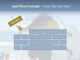 Colorful Fish Dolphin Fish Ocean Fishing PowerPoint Template