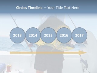 Colorful Fish Dolphin Fish Ocean Fishing PowerPoint Template