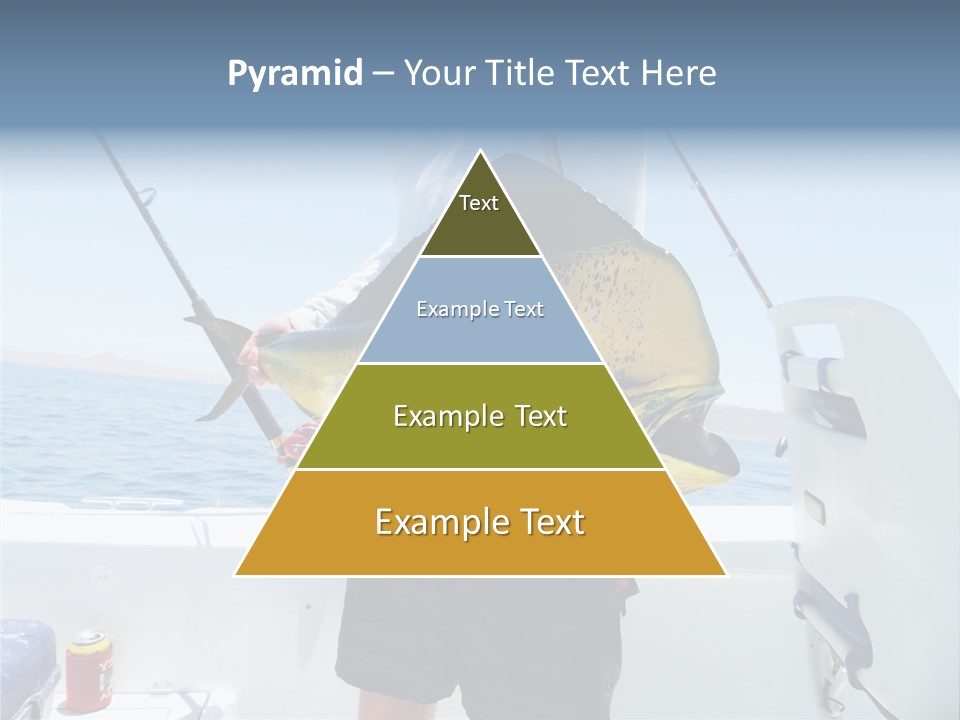 Colorful Fish Dolphin Fish Ocean Fishing PowerPoint Template