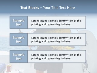 Colorful Fish Dolphin Fish Ocean Fishing PowerPoint Template