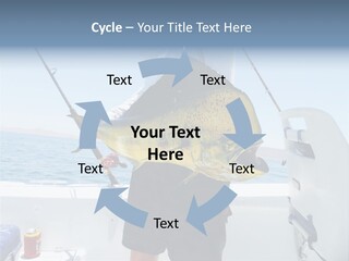 Colorful Fish Dolphin Fish Ocean Fishing PowerPoint Template