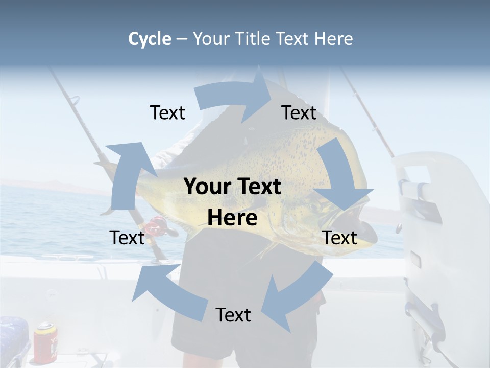 Colorful Fish Dolphin Fish Ocean Fishing PowerPoint Template