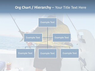 Colorful Fish Dolphin Fish Ocean Fishing PowerPoint Template