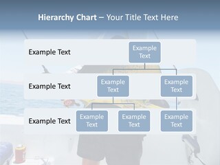 Colorful Fish Dolphin Fish Ocean Fishing PowerPoint Template