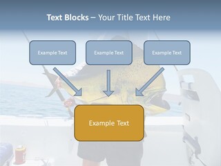 Colorful Fish Dolphin Fish Ocean Fishing PowerPoint Template