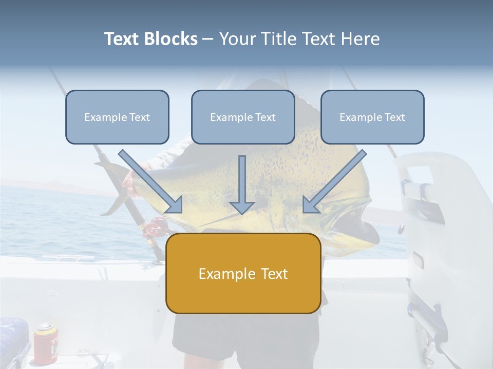 Colorful Fish Dolphin Fish Ocean Fishing PowerPoint Template