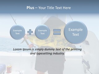 Colorful Fish Dolphin Fish Ocean Fishing PowerPoint Template