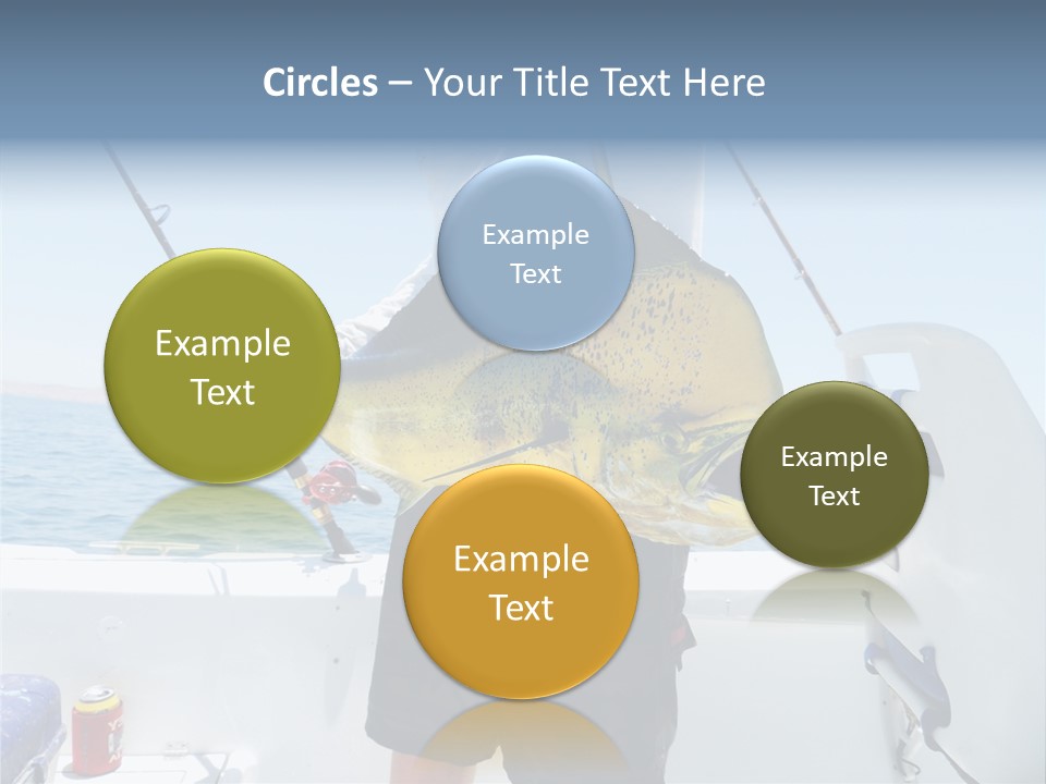 Colorful Fish Dolphin Fish Ocean Fishing PowerPoint Template