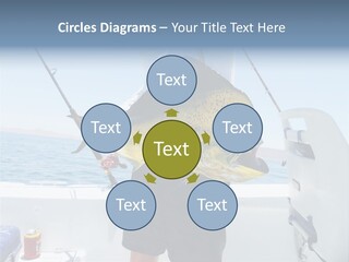 Colorful Fish Dolphin Fish Ocean Fishing PowerPoint Template