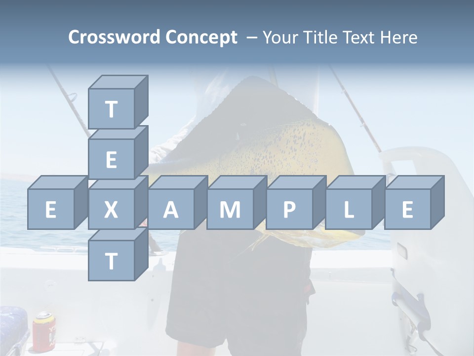 Colorful Fish Dolphin Fish Ocean Fishing PowerPoint Template