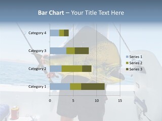 Colorful Fish Dolphin Fish Ocean Fishing PowerPoint Template