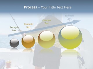 Colorful Fish Dolphin Fish Ocean Fishing PowerPoint Template